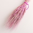 Набор сухоцветов "Рожь", банч 35-40 шт, длина 50-65 (+/- 6 см), сиреневый - фото 24000996