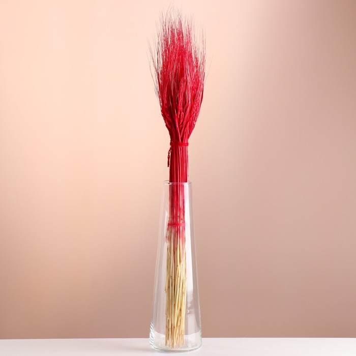 Набор сухоцветов "Рожь", банч 35-40 шт, длина 55-65 (+/- 6 см), красный