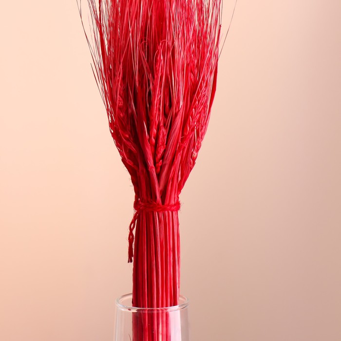 Набор сухоцветов "Рожь", банч 35-40 шт, длина 55-65 (+/- 6 см), красный