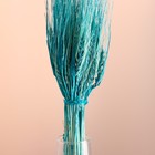 Набор сухоцветов "Рожь", банч 35-40 шт, длина 55-65 (+/- 6 см), бирюзовый - Фото 2