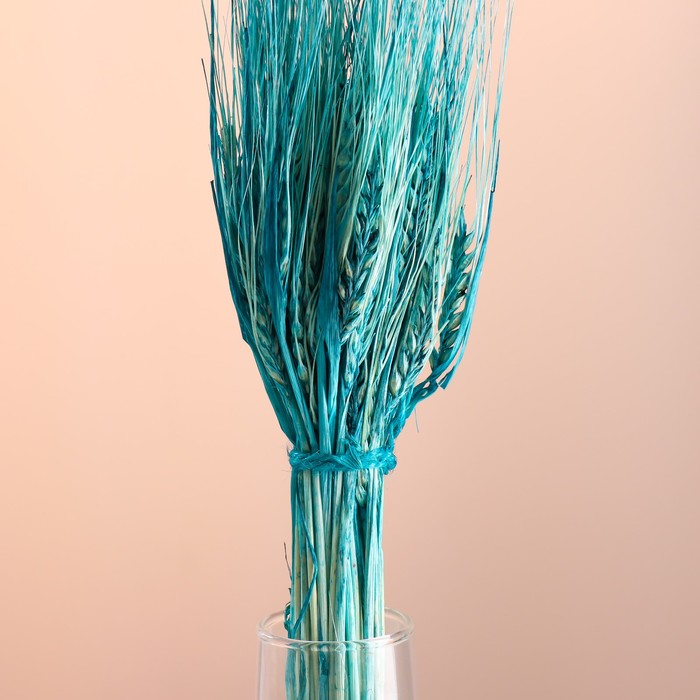 Набор сухоцветов "Рожь", банч 35-40 шт, длина 55-65 (+/- 6 см), бирюзовый