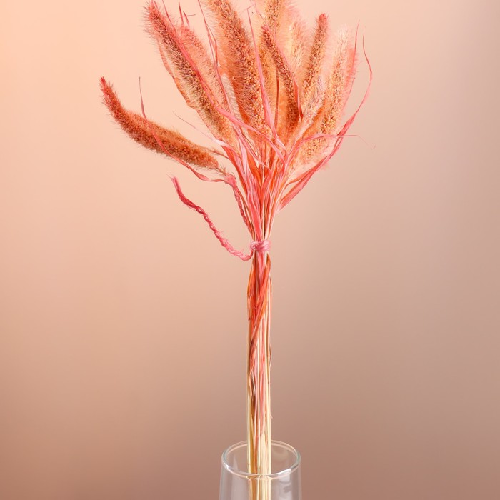 Набор сухоцветов "Сетария", банч 7 шт, длина 60-65 (+/- 6 см), персиковый