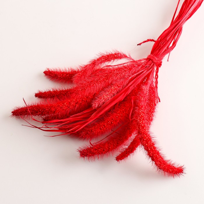 Набор сухоцветов "Сетария", банч 7 шт, длина 60-65 (+/- 6 см), красный