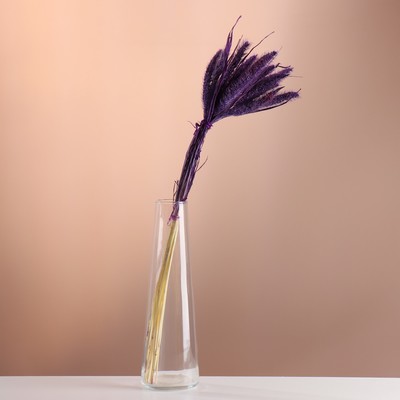 Набор сухоцветов "Сетария", банч 7 шт, длина 55-65 (+/- 6 см), фиолетовый