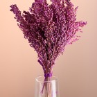 Набор сухоцветов "Просо", банч длина 45 (+/- 6 см), сиреневый - Фото 2