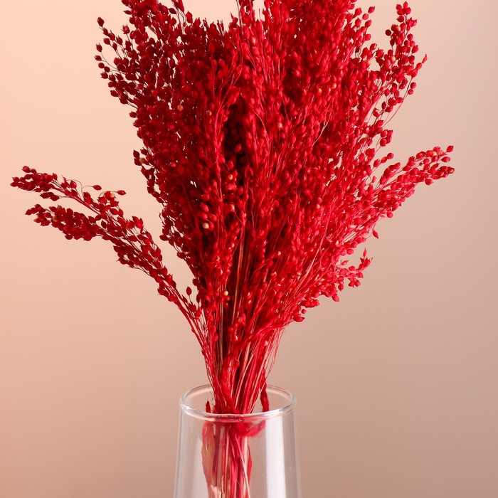 Набор сухоцветов "Просо", банч длина 45 (+/- 6 см), красный