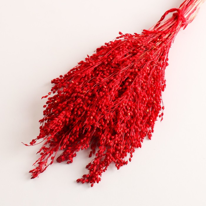 Набор сухоцветов "Просо", банч длина 45 (+/- 6 см), красный