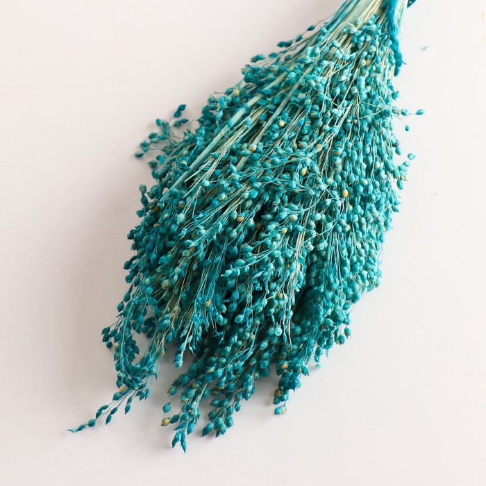 Набор сухоцветов "Просо", банч длина 45 (+/- 6 см), бирюзовый