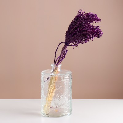 Набор сухоцветов "Просо", банч длина 45 (+/- 6 см), фиолетовый