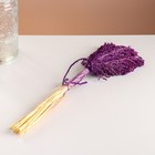 Набор сухоцветов "Просо", банч длина 45 (+/- 6 см), фиолетовый - Фото 4
