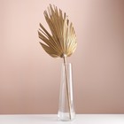 Лист пальмы Вашингтония "Пика" 50-60 (+/- 6 см), 1 шт, цв. золотой металлик - фото 321519649
