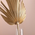 Лист пальмы Вашингтония "Пика" 50-60 (+/- 6 см), 1 шт, цв. золотой металлик - фото 24001068