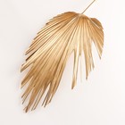 Лист пальмы Вашингтония "Пика" 50-60 (+/- 6 см), 1 шт, цв. золотой металлик - фото 24001069