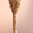 Набор сухоцветов "Лён-долгунец", банч длина 55-60 (+/- 6 см), натуральный - фото 24001072