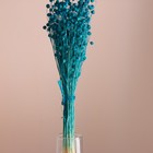 Набор сухоцветов "Лён-долгунец", банч длина 55-60 (+/- 6 см), бирюзовый - Фото 2