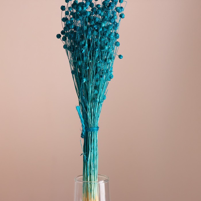 Набор сухоцветов "Лён-долгунец", банч длина 55-60 (+/- 6 см), бирюзовый