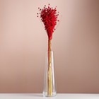 Набор сухоцветов "Лён-долгунец", банч длина 55-60 (+/- 6 см), красный - фото 321519669