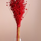 Набор сухоцветов "Лён-долгунец", банч длина 55-60 (+/- 6 см), красный - Фото 2