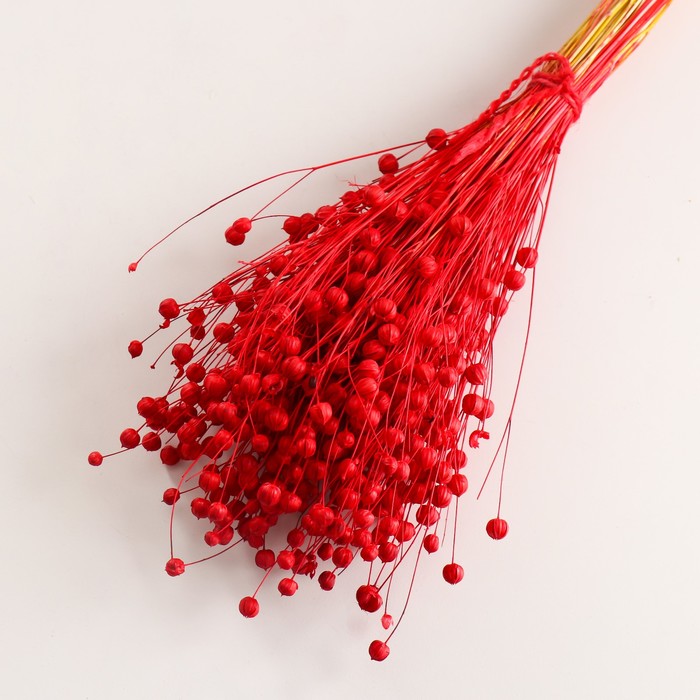 Набор сухоцветов "Лён-долгунец", банч длина 55-60 (+/- 6 см), красный
