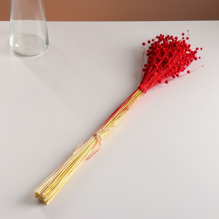 Набор сухоцветов "Лён-долгунец", банч длина 55-60 (+/- 6 см), красный