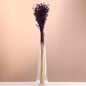 Набор сухоцветов "Лён-долгунец", банч длина 55-60 (+/- 6 см), сливовый