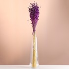 Набор сухоцветов "Лён-долгунец", банч длина 55-60 (+/- 6 см), фиолетовый - фото 3444830