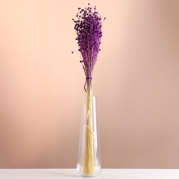 Набор сухоцветов "Лён-долгунец", банч длина 55-60 (+/- 6 см), фиолетовый - Фото 1