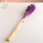 Набор сухоцветов "Лён-долгунец", банч длина 55-60 (+/- 6 см), фиолетовый - Фото 4