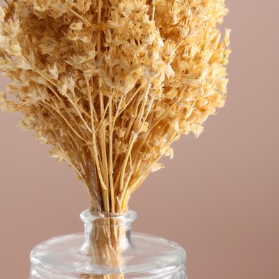 Набор сухоцветов "Шандра", банч длина 40 (+/- 6 см), выбеленный