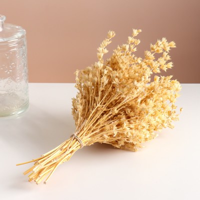 Набор сухоцветов "Шандра", банч длина 40 (+/- 6 см), выбеленный