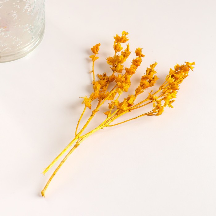 Набор сухоцветов "Шандра", банч длина 30 (+/- 6 см), желтый
