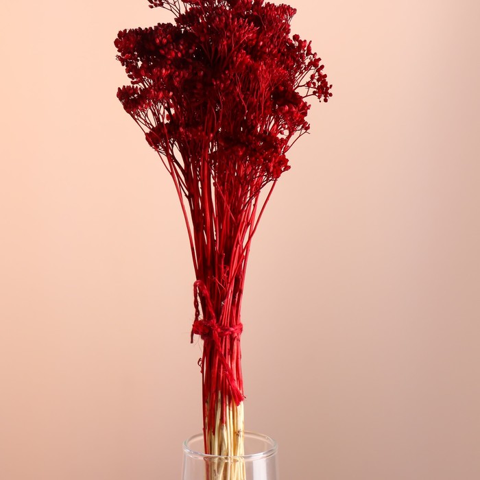 Набор сухоцветов "Тысячелистник", банч длина 60 (+/- 6 см), красный