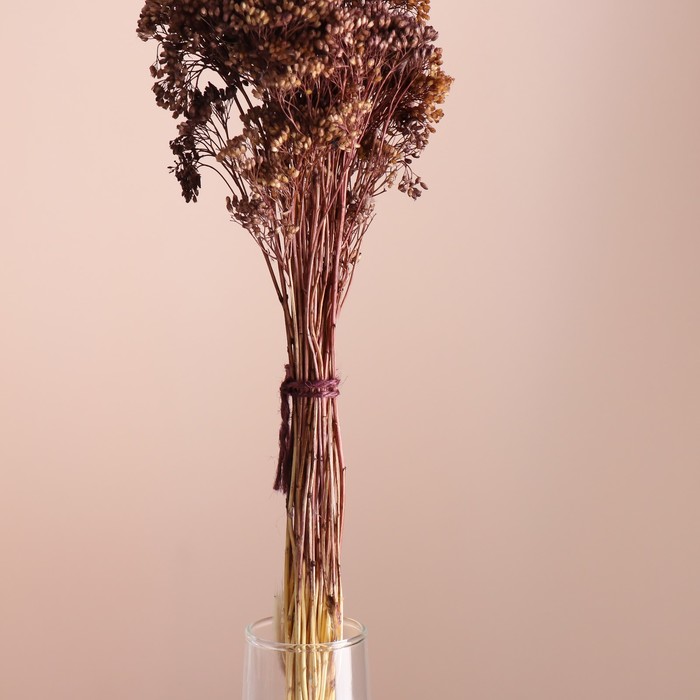 Набор сухоцветов "Тысячелистник" длина 60 см +/- 5см , коричневый