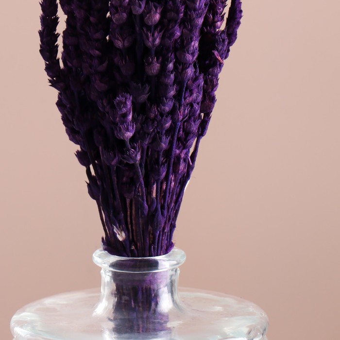 Набор сухоцветов "Железница", банч длина 35 (+/- 6 см), фиолетовый