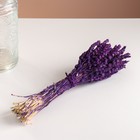 Набор сухоцветов "Железница", банч длина 35 (+/- 6 см), фиолетовый - Фото 5