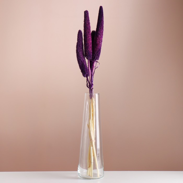 Набор сухоцветов "Африканское просо", банч 3-5 шт, длина 60 (+/- 6 см), фиолетовый - Фото 1