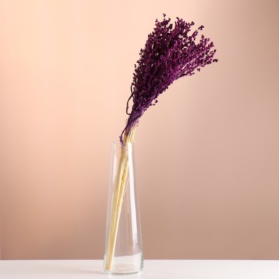 Набор сухоцветов "Сорго", банч 3-5 шт, длина 60 (+/- 6 см), фиолетовый