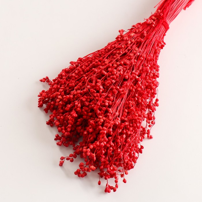 Набор сухоцветов "Сорго", банч 3-5 шт, длина 60 (+/- 6 см), красный