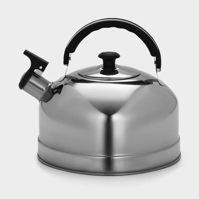 Чайник «Семейный», 2.8 л, со свистком, нержавеющая сталь, серебристый