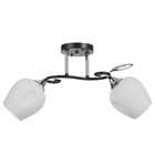 Люстра потолочная «Мэгги», 2хE27 40 Вт, хром/черный - Фото 1