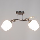 Люстра потолочная «Мэгги», 2хE27 40 Вт, хром/черный - Фото 2