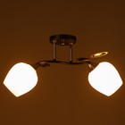 Люстра потолочная «Мэгги», 2хE27 40 Вт, хром/черный - Фото 3