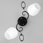 Люстра потолочная «Мэгги», 2хE27 40 Вт, хром/черный - Фото 4