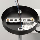 Люстра потолочная «Мэгги», 2хE27 40 Вт, хром/черный - Фото 9