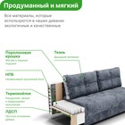 Прямой диван «Рич 1», механизм пантограф, независимый пружинный блок, цвет симпл 8 - Фото 4