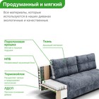 Диван прямой «Рич 1», механизм пантограф, независимый пружинный блок, цвет симпл 18 - Фото 4