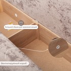 Диван прямой «Квадро 1», механизм еврокнижка, пружинный блок, велюр, цвет симпл 8 - Фото 5