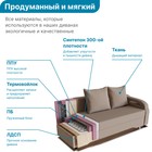 Прямой диван «Квадро 1», механизм еврокнижка, пружинный блок, цвет симпл 8 - Фото 6