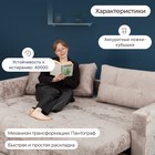 Прямой диван «Рио», механизм пантограф, ППУ, цвет симпл 8 - Фото 4
