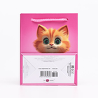 Пакет подарочный "Котик", 11,5 х 14,5 х 6,5 см - Фото 2